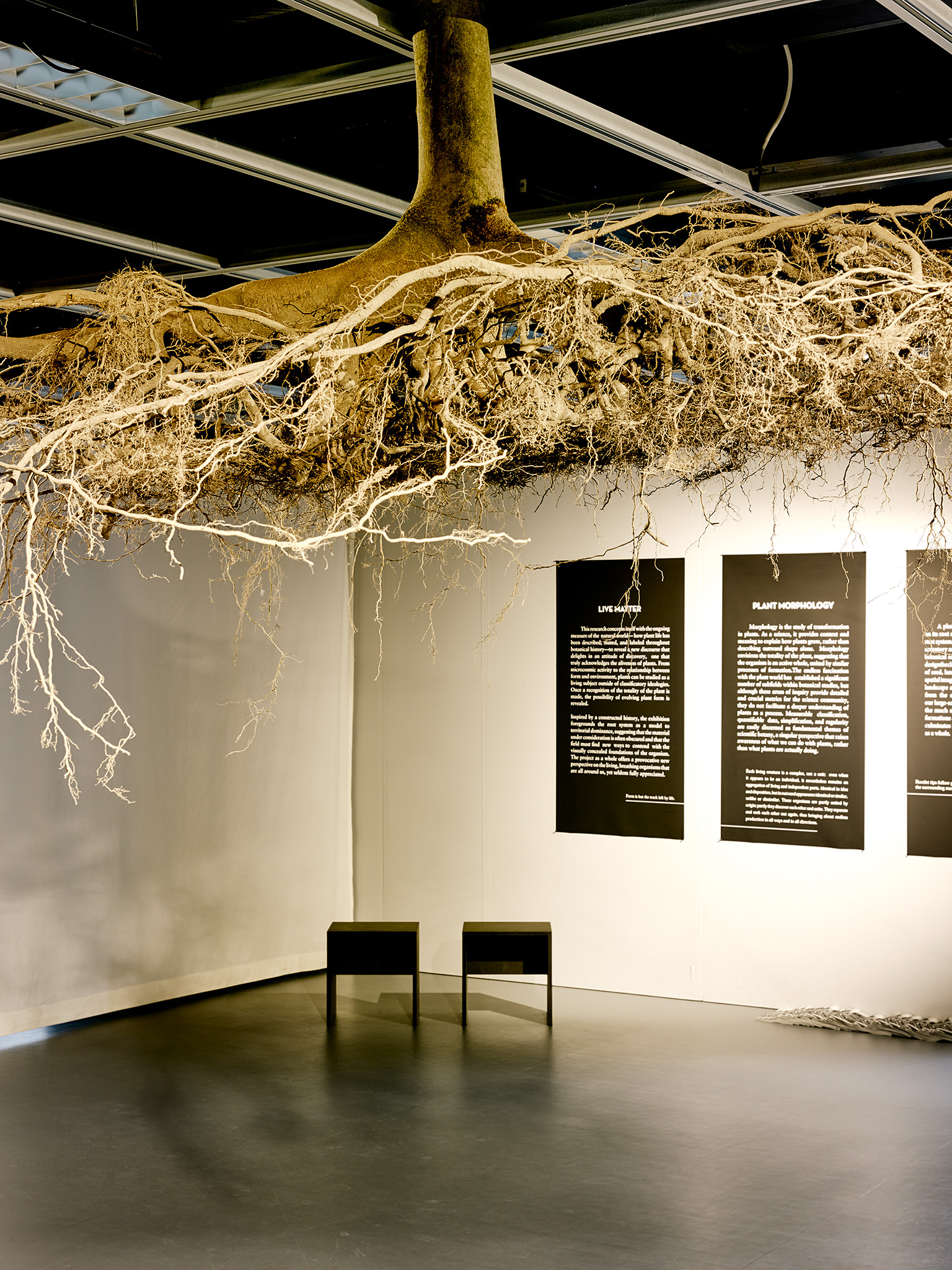 LIVE MATTER - Design Vegetal